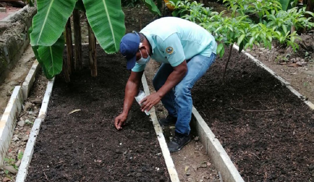 Los interesados tendrán plazo de enviar su hoja de vida hasta el viernes 13 de agosto