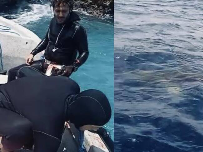 Historia del ataque de un tiburón a un apneista en San Andrés