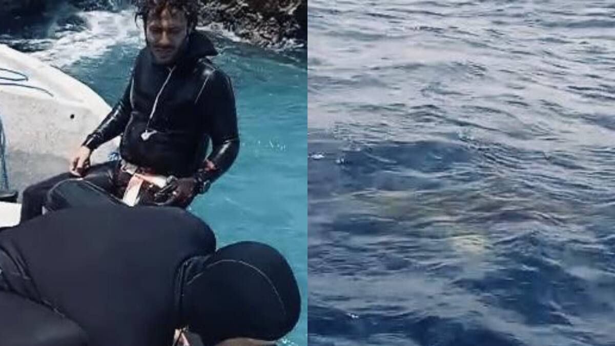 Historia del ataque de un tiburón a un apneista en San Andrés