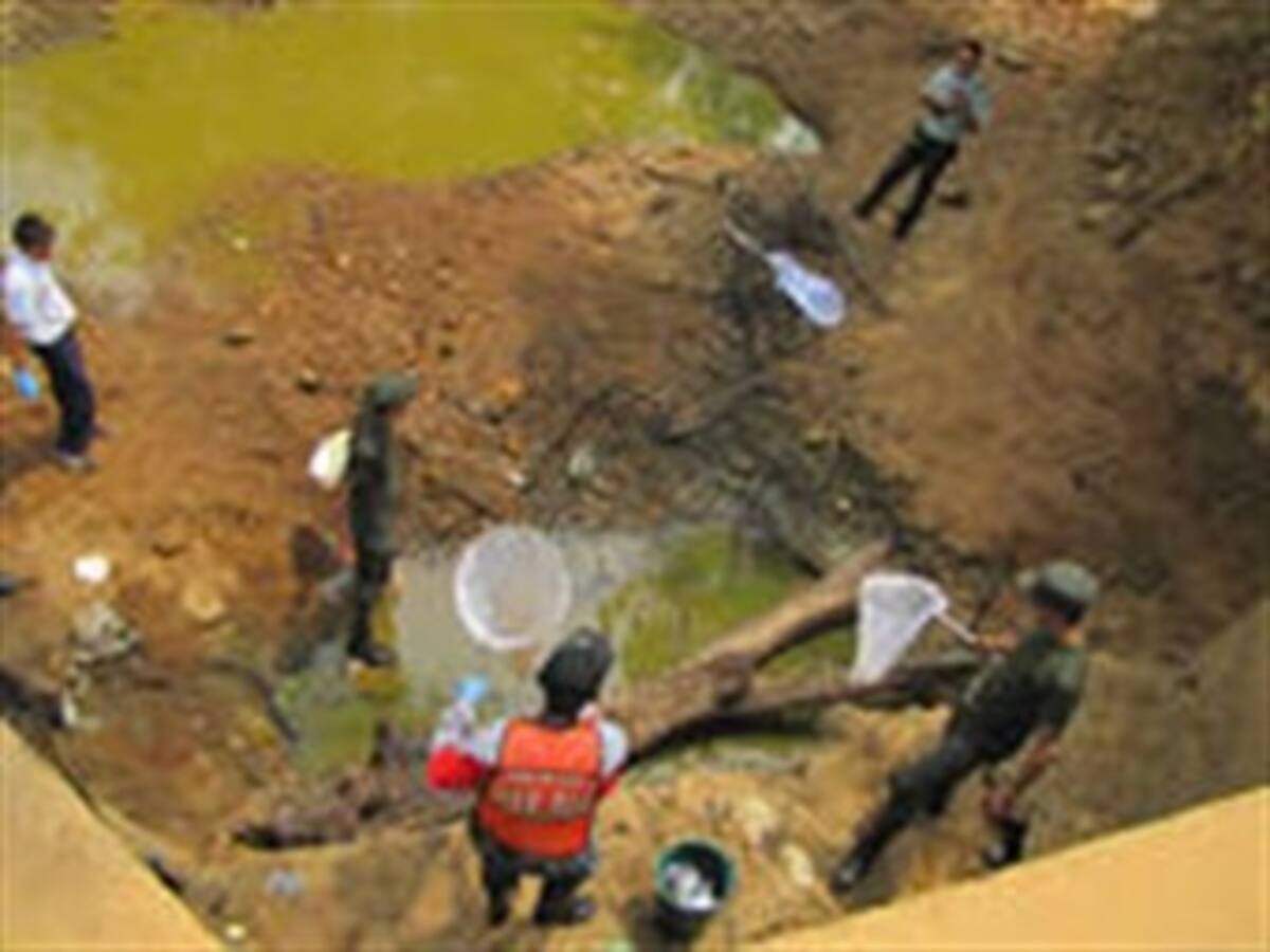 A centenares de peces de diferentes especies del Caño Usibar, se les hizo el milagro de ser “pescados” por la Policía