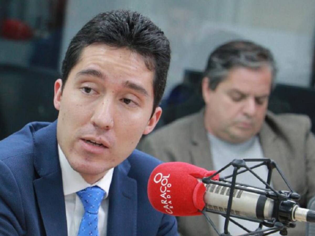 Un año de recuperación a pesar de las turbulencias: Mejía