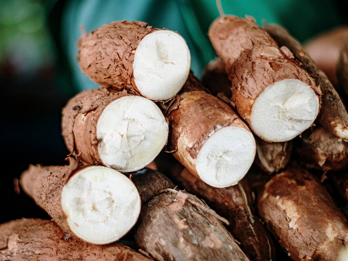 En el Catatumbo atrás están dejando la coca, ahora cultivan alimentos