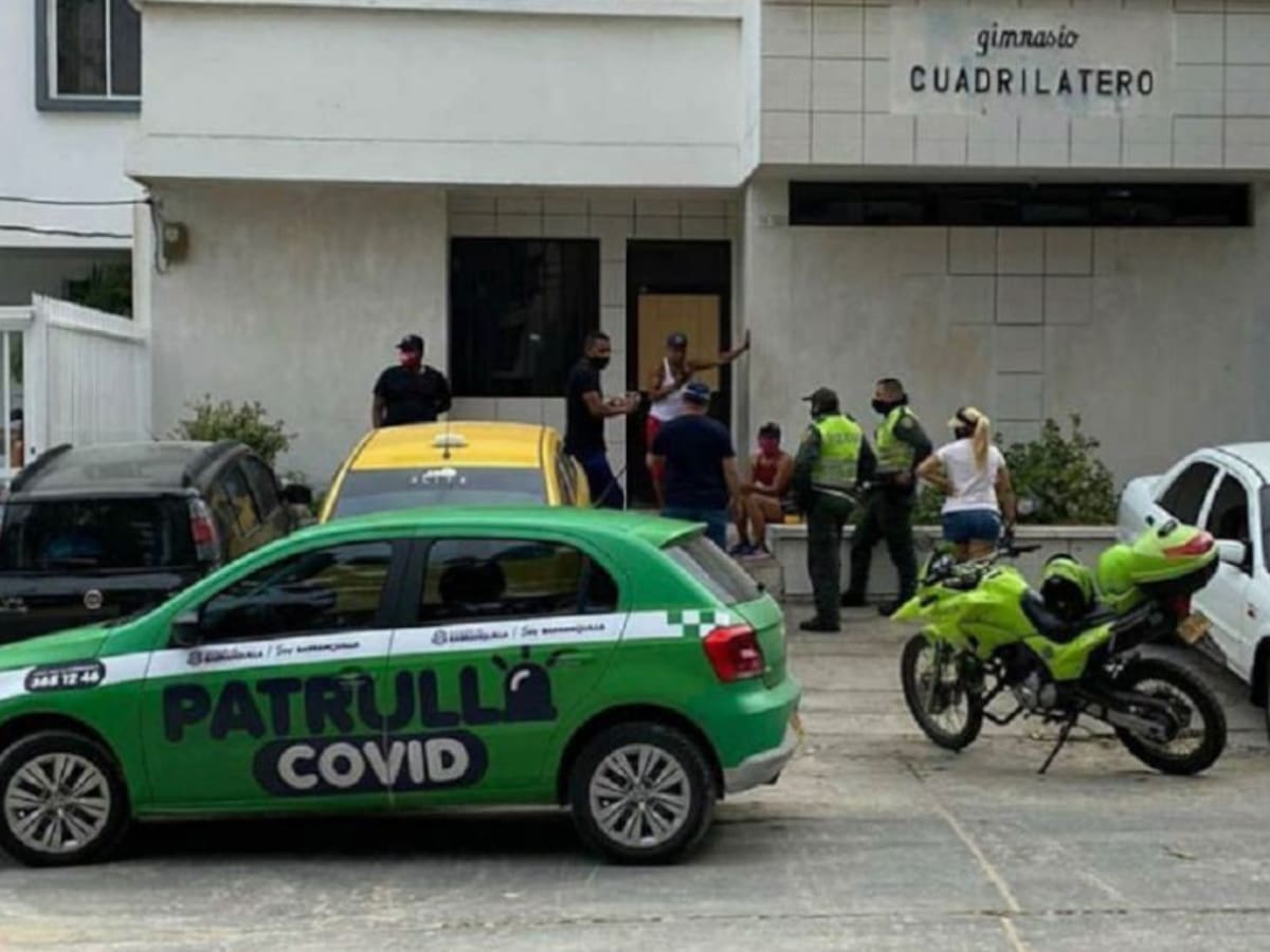 Fiscalía abrió investigación por maltrato a dos gatos en Barranquilla