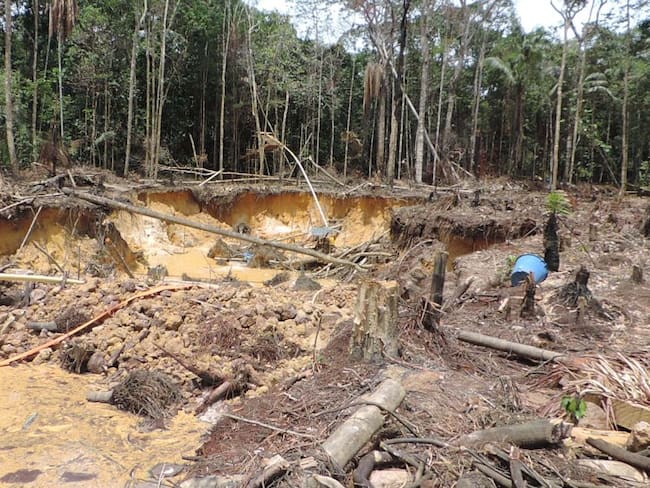 Polémica en Puerto Boyacá por tala de árboles para hacer cancha sintética