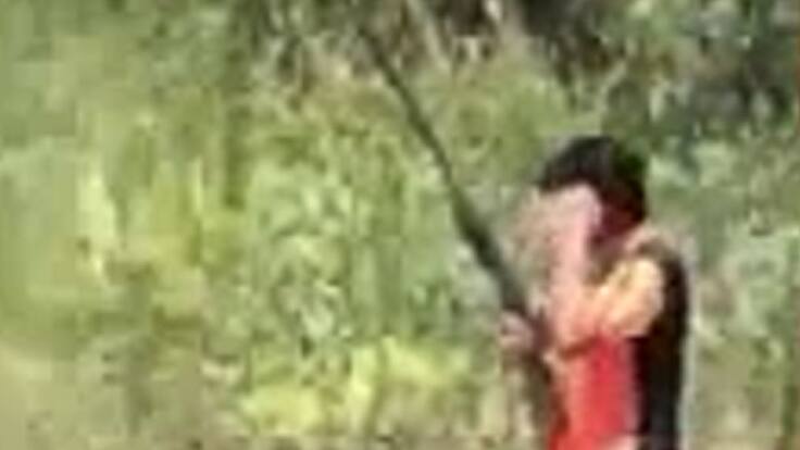 Denuncian presunta caza ilegal de fauna silvestre en el Quindío