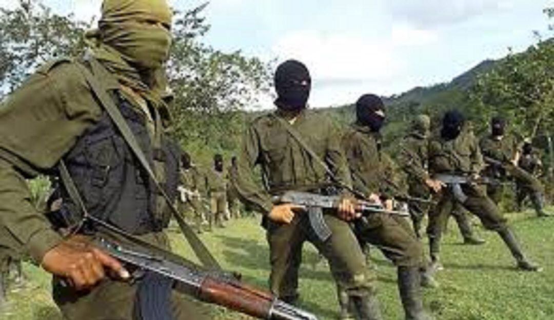 Foto de referencia -archivo cortesía