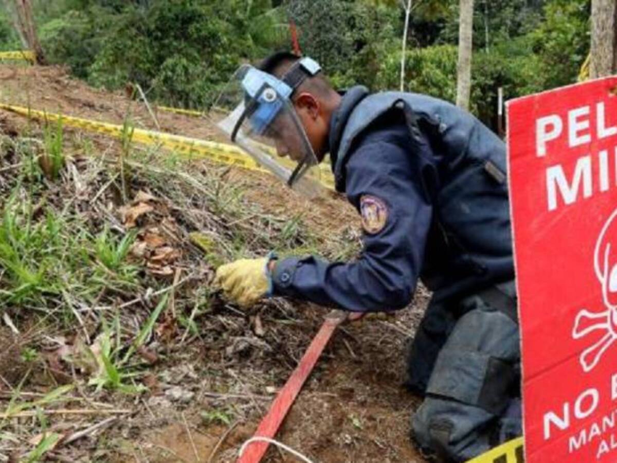“Energía para la Paz”: la apuesta del Grupo de Energía por las comunidades