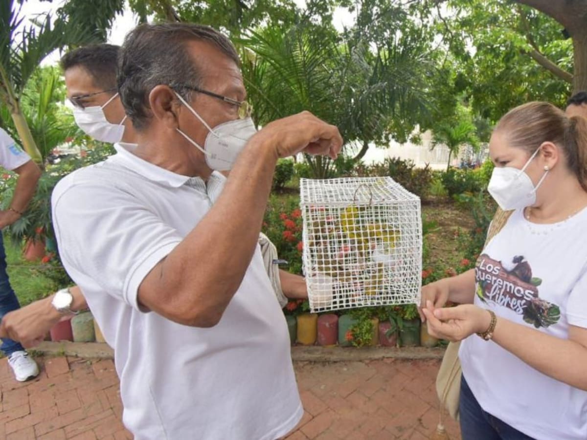 EPA Cartagena recibió más de 50 animales silvestres