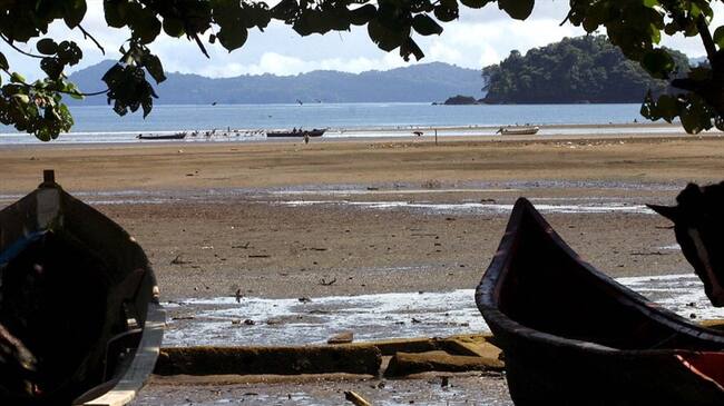 El Ministerio de Ambiente busca cerrar la zona norte de playas de Playa Blanca para garantizar el proceso de anidación de la tortuga carey, una especie en vía de extinción. Foto: Colprensa