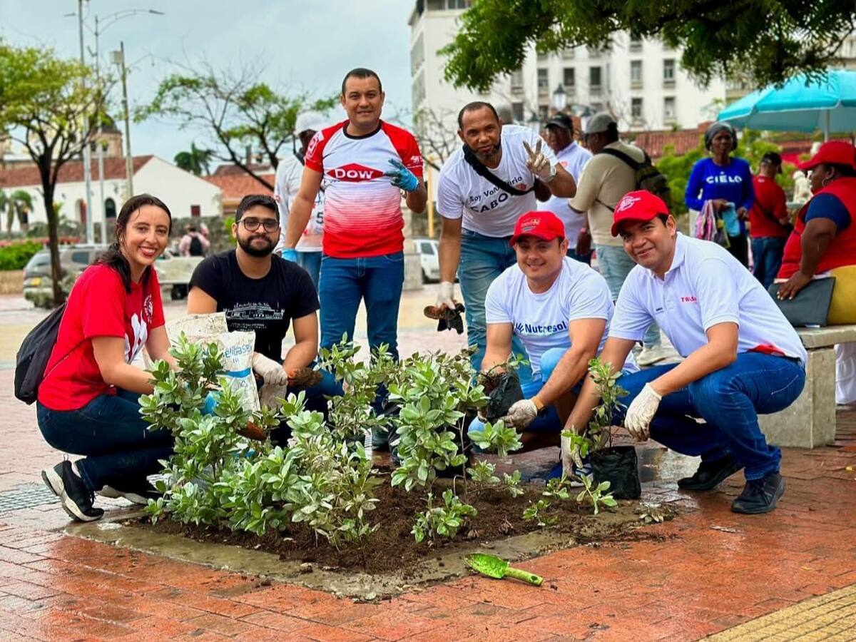 Alianza ANDI–TRASO lidera voluntariado ambiental empresarial en Cartagena