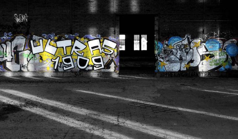 Imagen de referencia 