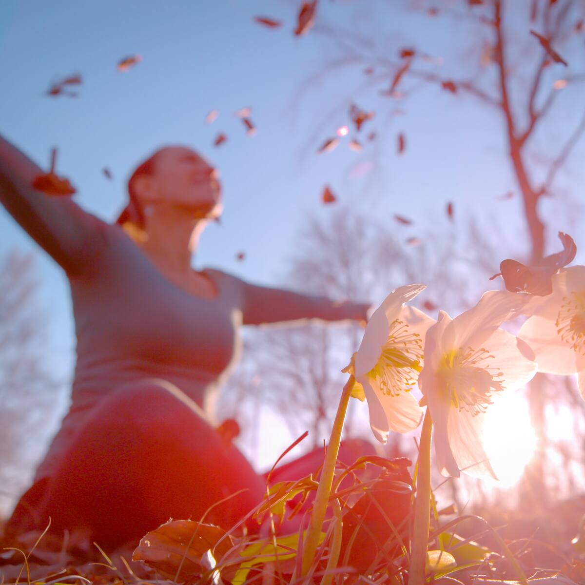 Equinoccio de primavera: su influencia y los movimientos en los astros que trae este 2026