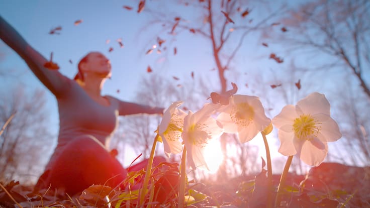 Equinoccio de primavera: su influencia y los movimientos en los astros que trae este 2026