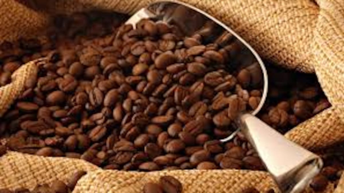 Producción cafetera de Colombia en 2025 rompe récord de los últimos 30 años