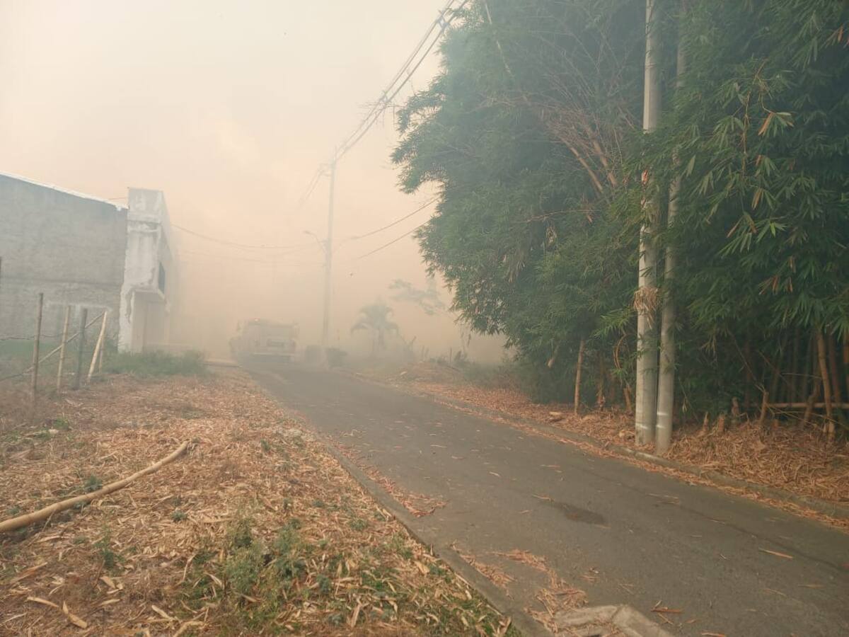 Incendio en Jamundí, Valle consume 50 hectáreas de vegetación y causa daños a la fauna