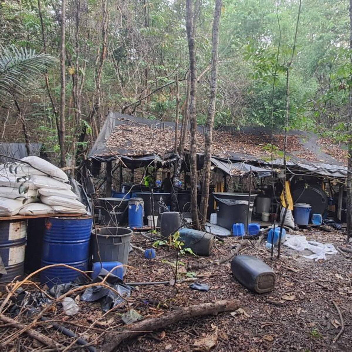 Cáceres: destruyeron un laboratorio de cocaína del Clan del Golfo que producía tres toneladas al mes