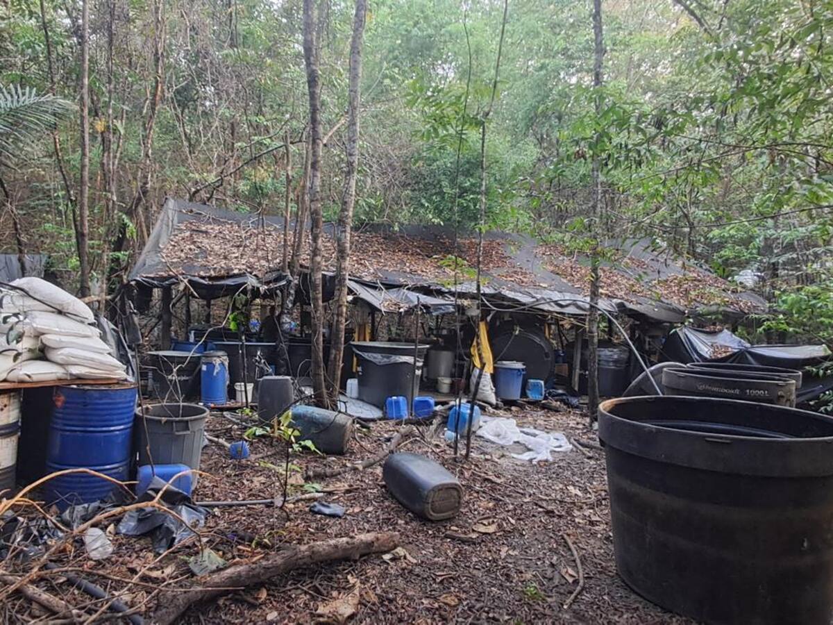 Cáceres: destruyeron un laboratorio de cocaína del Clan del Golfo que producía tres toneladas al mes