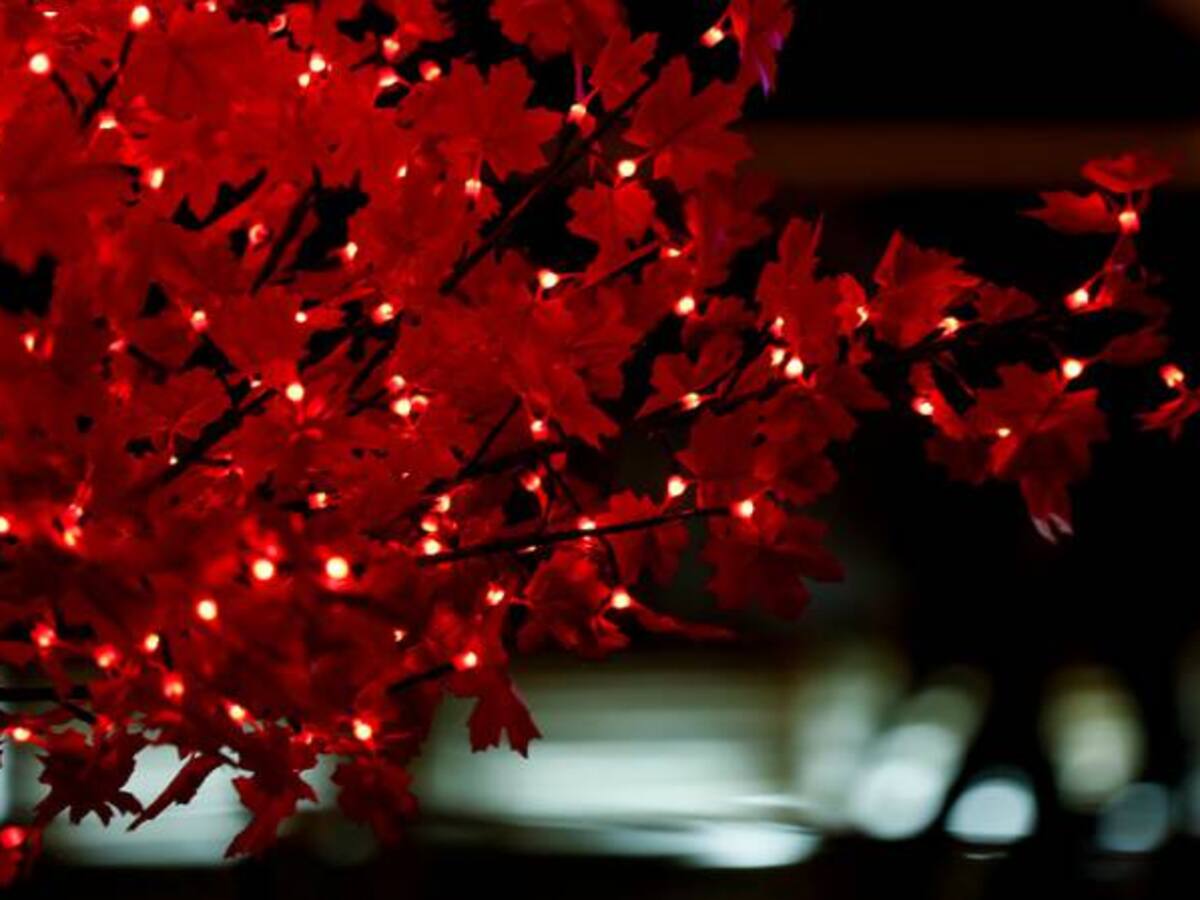 Ibagué alista programación para Navidad