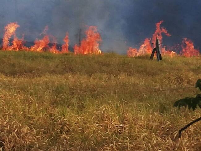Incendios forestales tienen en jaque a las autoridades