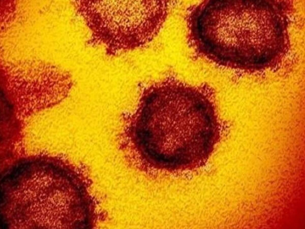 Los países que han detectado la cepa ómicron del COVID-19