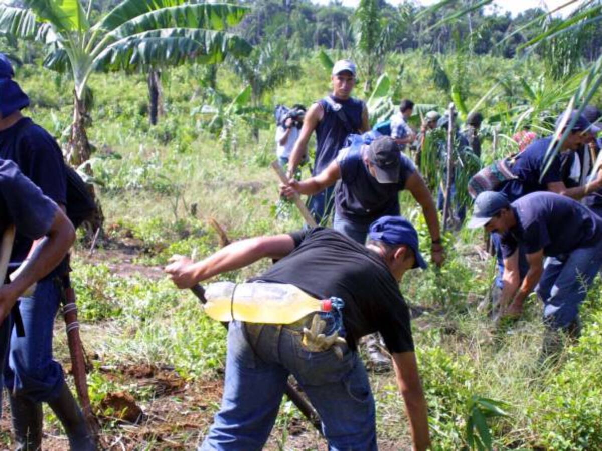 Las caras del Plan Colombia