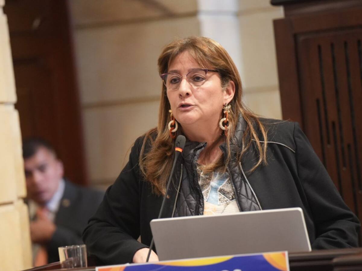 11 decretos que rigen en el Catatumbo se caerían si Corte Constitucional tumba la conmoción interior