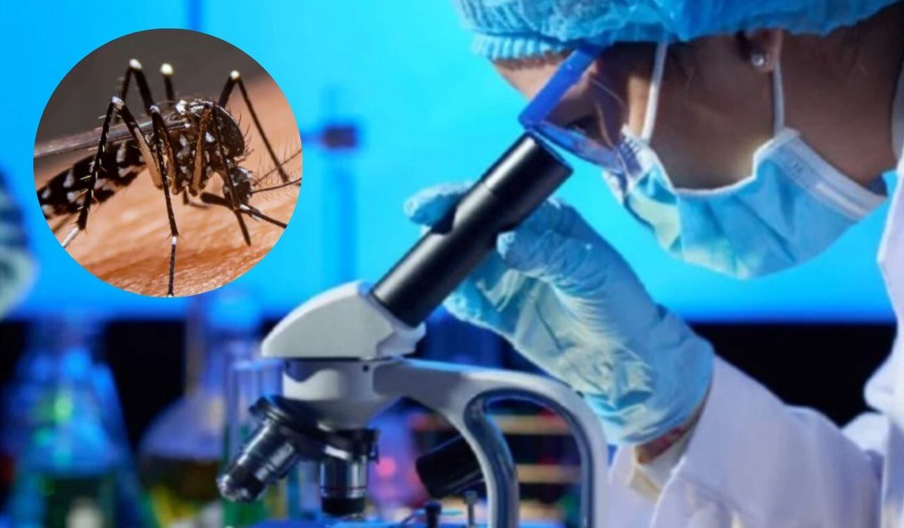 En Córdoba hay alerta por los casos de dengue.