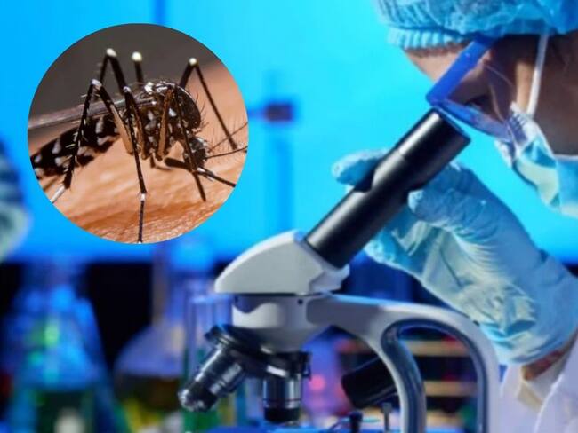 En Córdoba hay alerta por los casos de dengue.