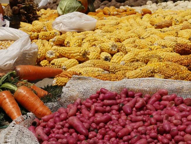 ABACO celebra la sanción de la Ley contra el desperdicio de alimentos