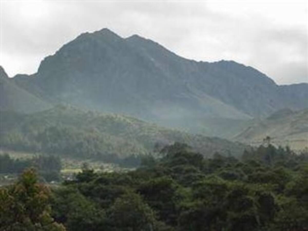 Calentamiento Global amenaza a los páramos colombianos