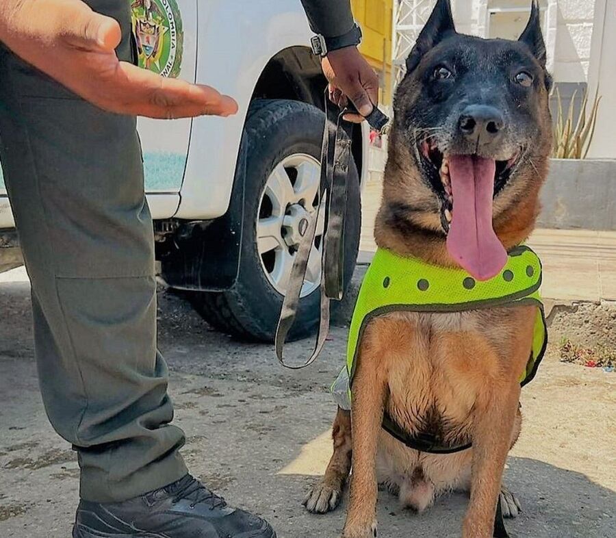 Departamento de Policía Bolívar