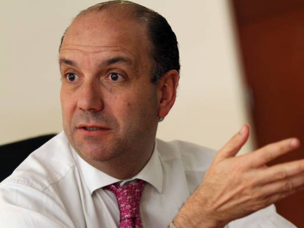 El 2014 le dejó a Colombia más hectáreas deforestadas