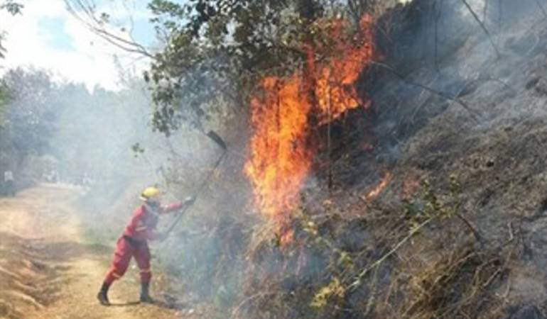 Diariamente se han presentado hasta cuatro incendios en Risaralda, que crecen con la ola de calor.