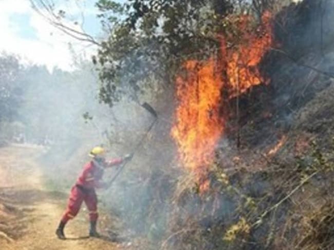 Diariamente se han presentado hasta cuatro incendios en Risaralda, que crecen con la ola de calor.