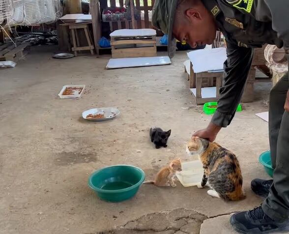 Fotografía archivo: Caracol Radio