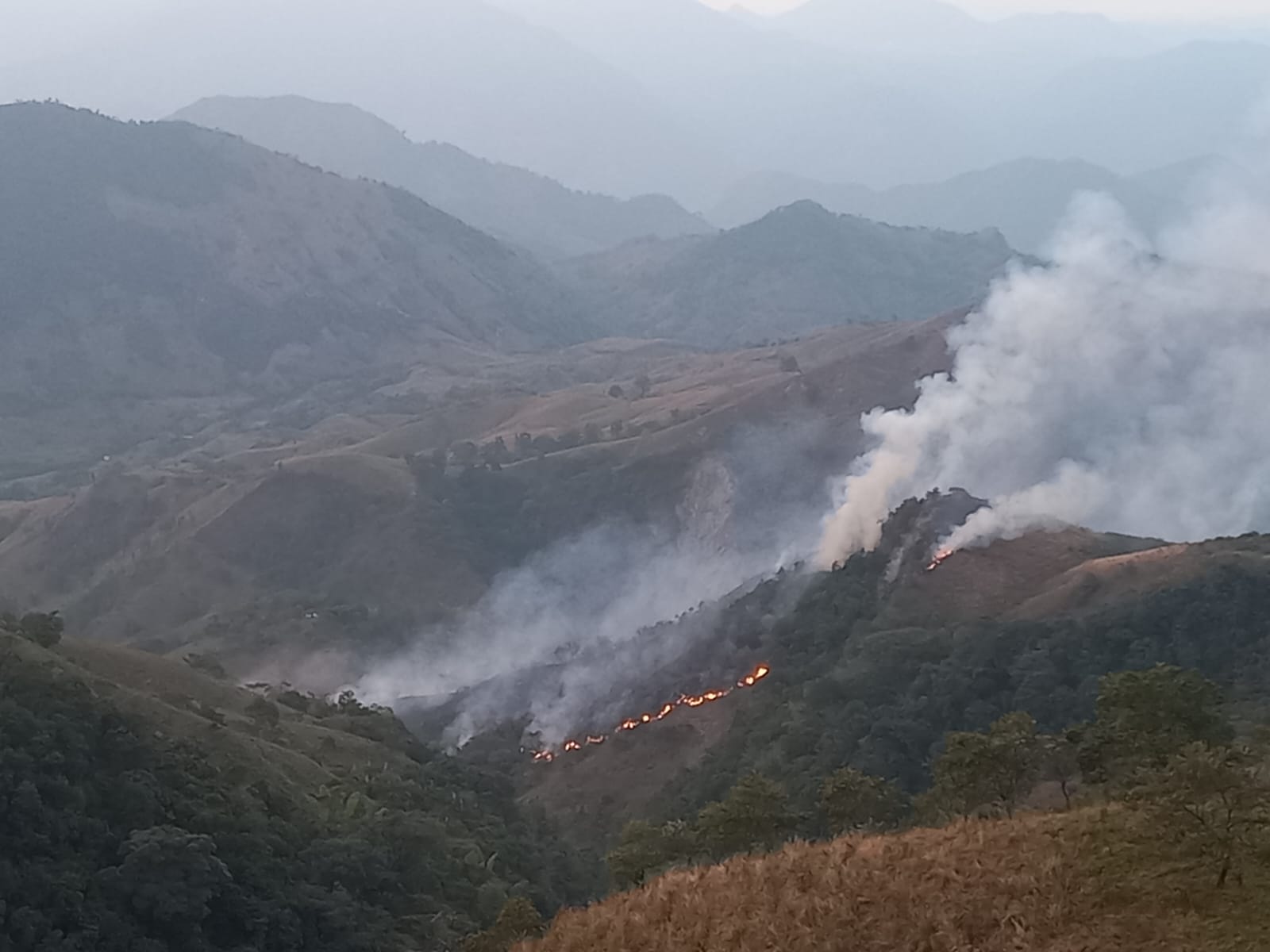 Crédito: Suministrada.