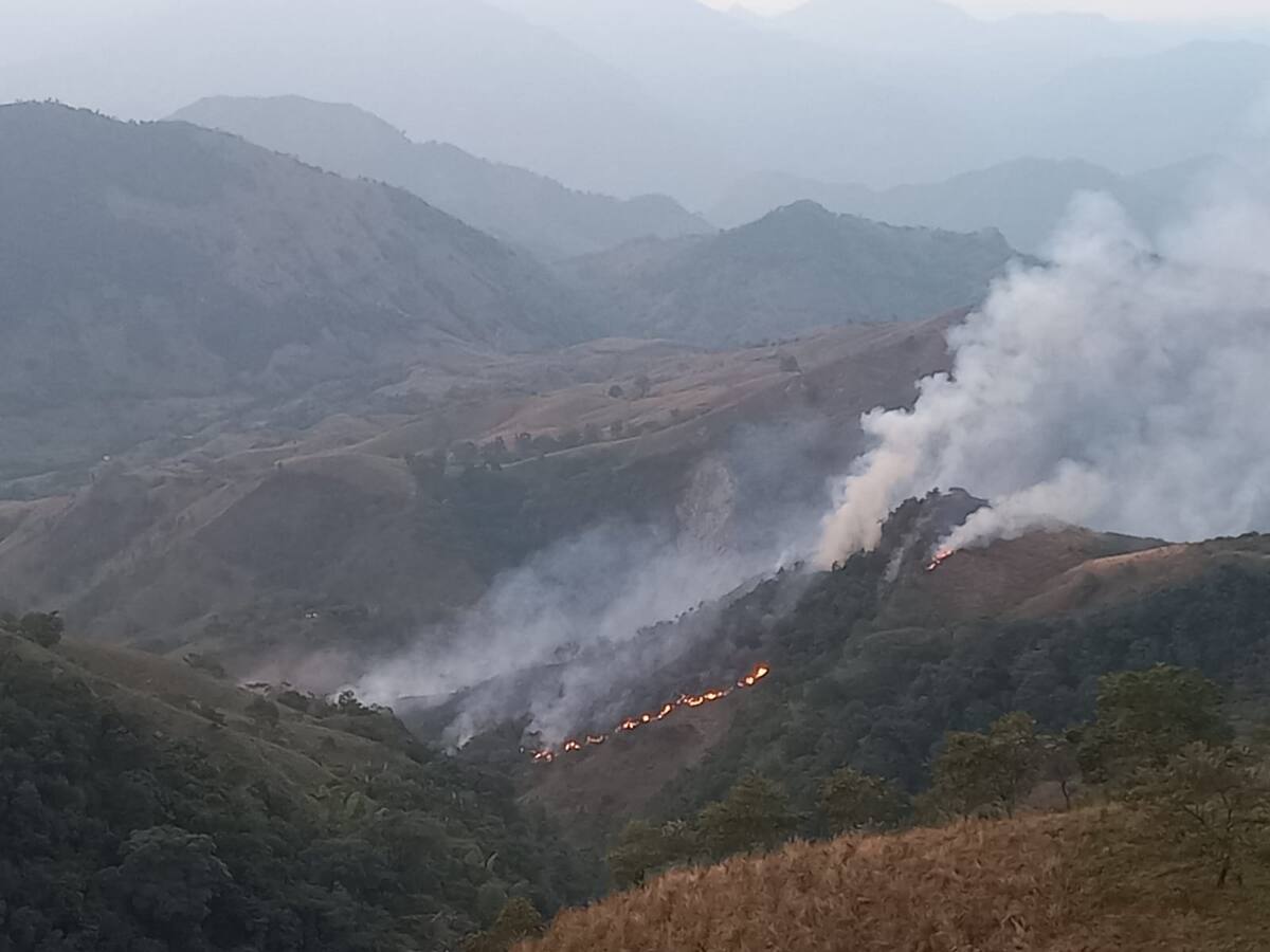 Varias emergencias se registraron por incendios forestales en Filadelfia y Supía en Caldas