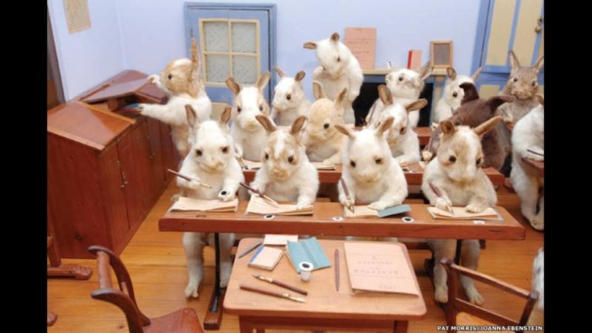 Potter, un taxidermista que vivió entre 1835 y 1918, era conocido por diseñar maquetas antropomórficas con animales disecados. Sus composiciones se convirtieron en un ícono de la extravagancia de la época victoriana.