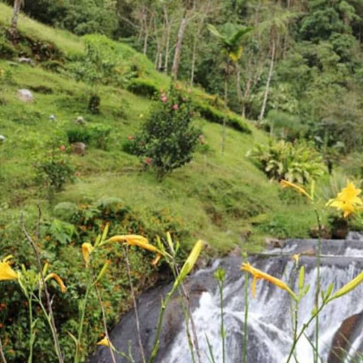 Termales de Santa Rosa de Cabal - Risaralda se preparan para reapertura