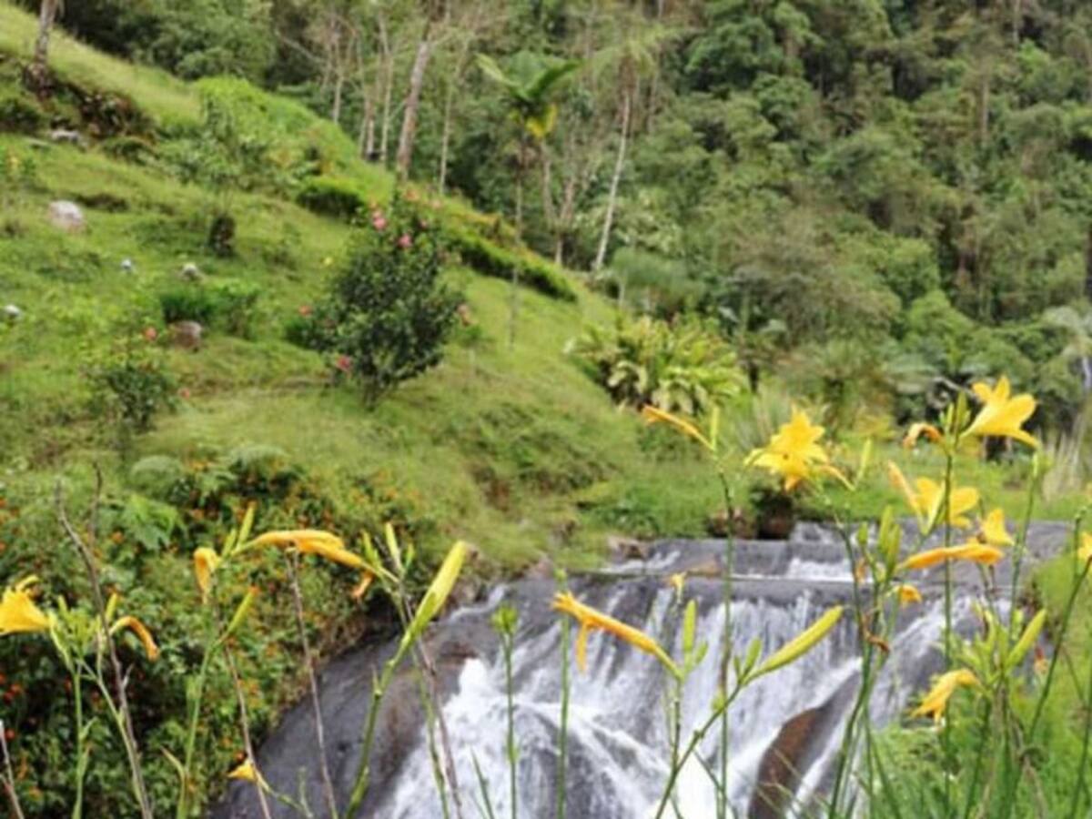 Termales de Santa Rosa de Cabal - Risaralda se preparan para reapertura