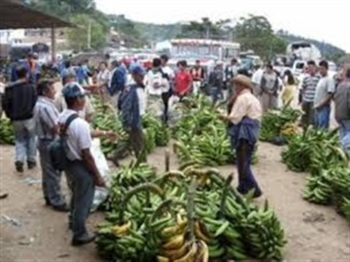 Escasean productos básicos en Montería por efecto de los bloqueos
