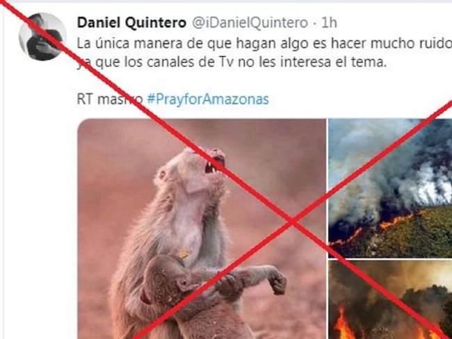 No basta con indignarse en redes, hay fotos falsas del incendio en Amazonas