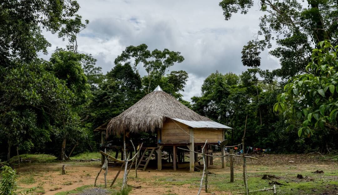 Imagen de referencia - Colprensa