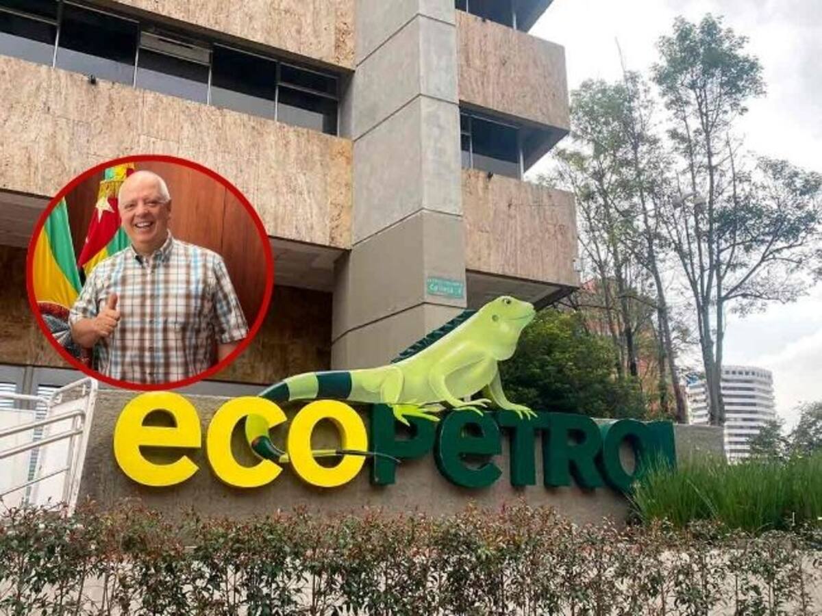 Los reparos al nombramiento de José Vicente Villamizar en el Icpet