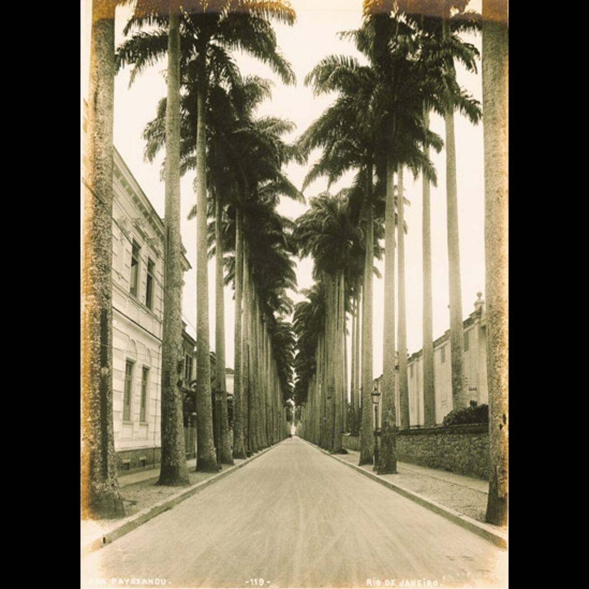 Las imágenes crean un contrapunto con lo que existe hoy; hay muchos edificios que no existen más (como el Palacio Monroe de esta foto) y la mayoría existen pero están de alguna forma encubiertos por construcciones nuevas", explicó Di Giulio.