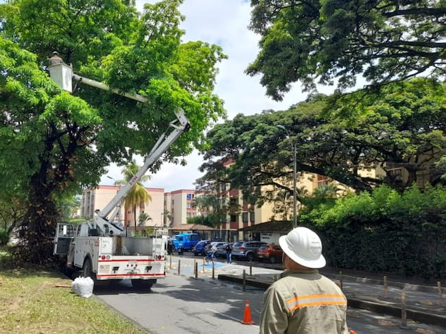 Trabajando para restablecer el servicio de energía en Cali