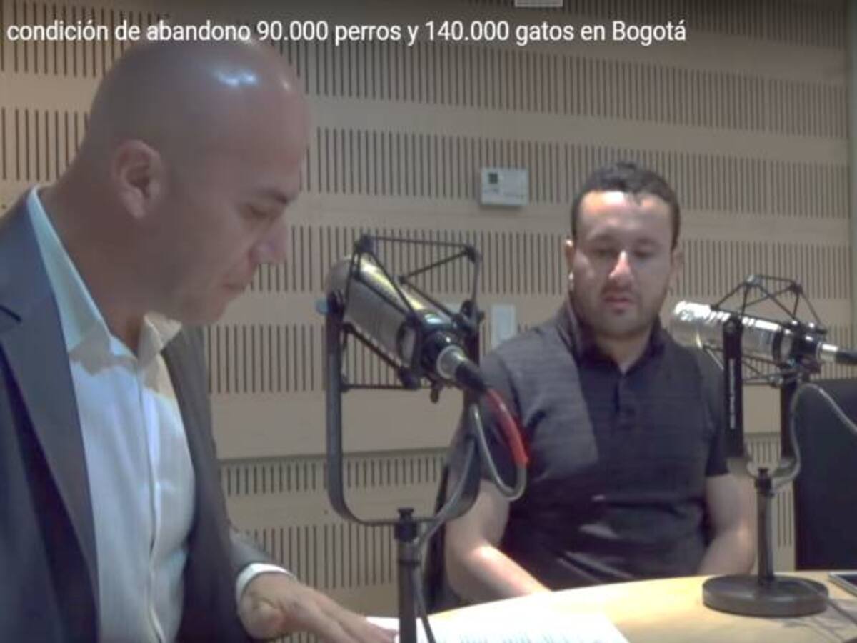 En condición de abandono 90.000 perros y 140.000 gatos en Bogotá