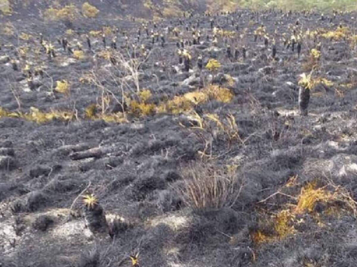 Preocupación en Norte de Santander por daño ambiental en Santurbán