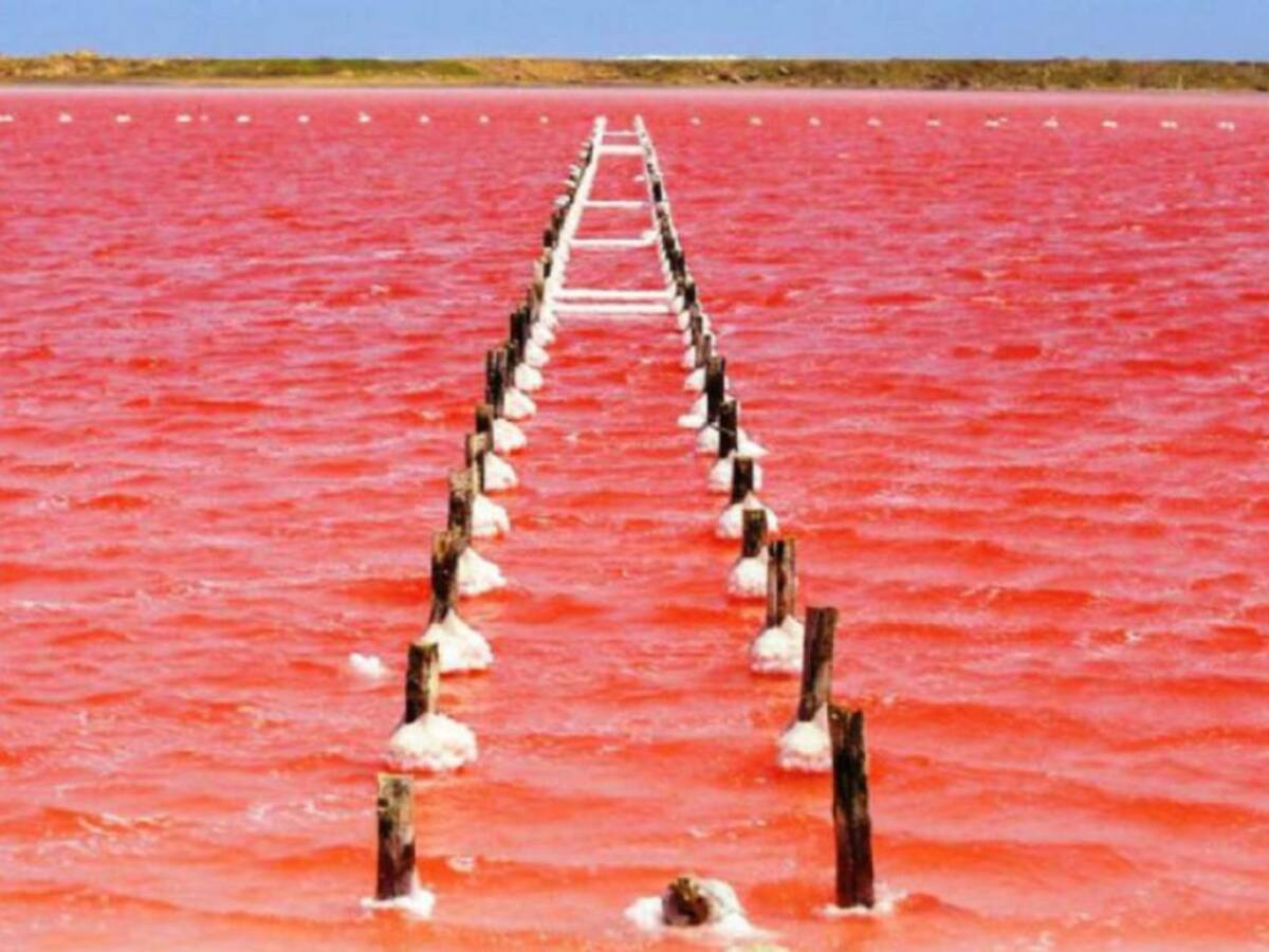 Regresó el mar rosado a Galerazamba, pero la playa estará cerrada