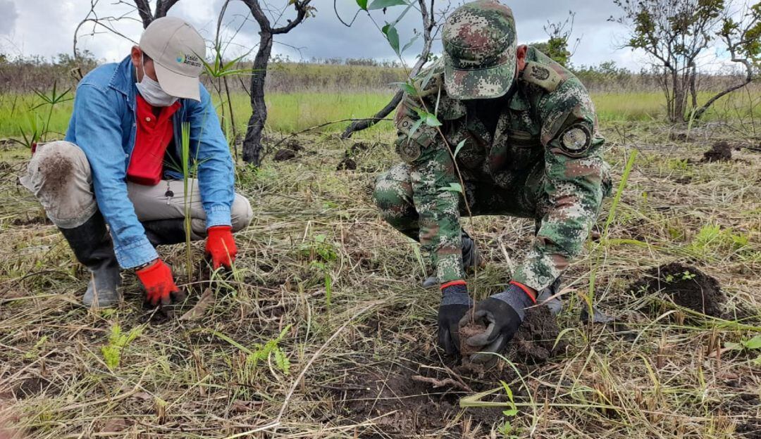500 árboles fueron plantados para la reforestación de la Laguna San Vicente en San José del Guaviare. 